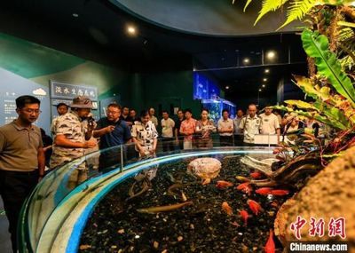 水族館的優(yōu)勢：水族館在教育、娛樂、商業(yè)、科技和保護(hù)等多個(gè)領(lǐng)域都展現(xiàn)出顯著的優(yōu)勢 水族館百科（水族館加盟） 第4張