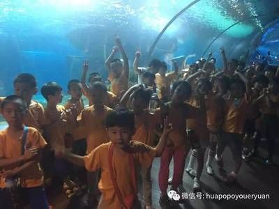 開個水族館的艱難生活視頻：關(guān)于開個水族館的艱難生活 水族館百科（水族館加盟） 第2張