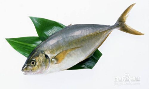 紅龍魚(yú) 燈光強(qiáng)度：-紅龍魚(yú)在燈光下生長(zhǎng)的最佳亮度是多少 水族問(wèn)答 第2張