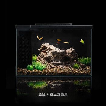 起源紀智能魚缸pro：起源紀智能魚缸app控制功能介紹 魚缸百科 第3張