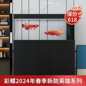 龍魚缸水位多少合適：夏季龍魚缸水位調(diào)整技巧，冬季龍魚缸水溫管理方法 龍魚百科 第3張