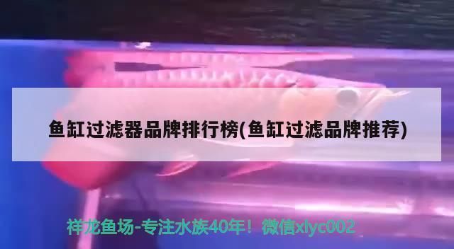 魚缸過濾器品牌排行榜：2024年魚缸過濾器品牌排行榜 魚缸百科 第2張