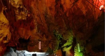 十堰水族館：十堰旅游攻略之十堰博物館 全國觀賞魚市場 第3張