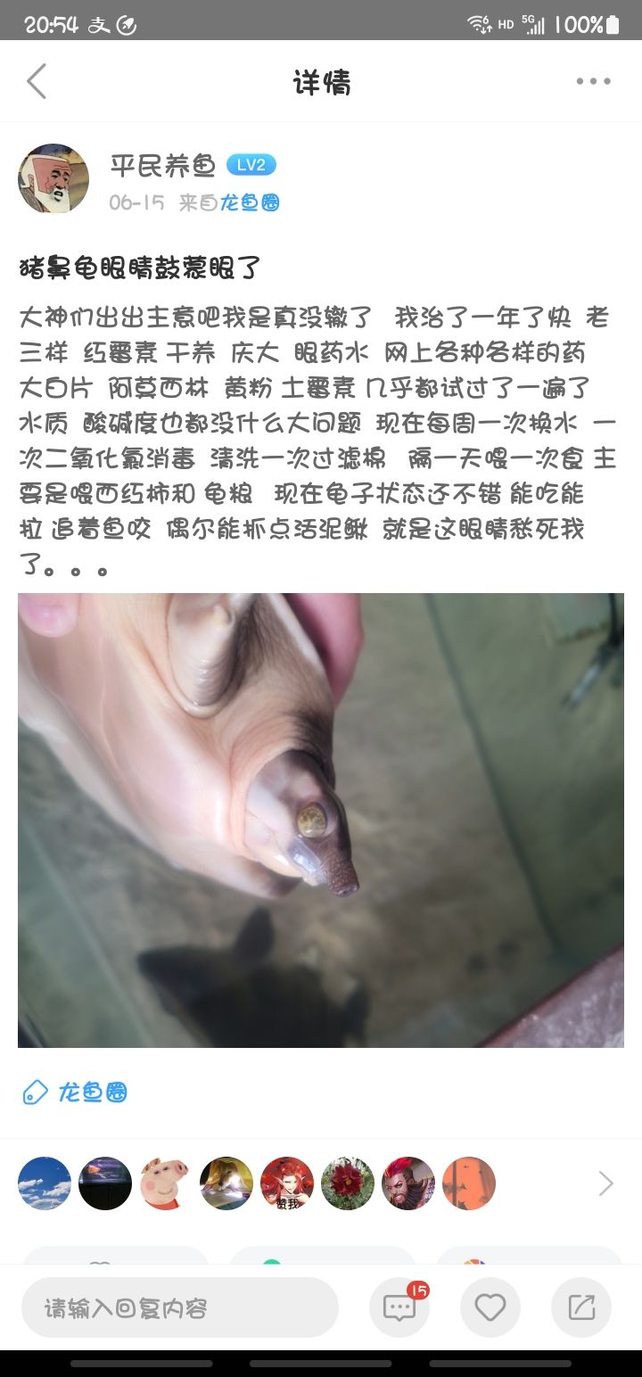 豬鼻龜眼睛鼓出來：豬鼻龜眼睛鼓出來的原因及其可能影響?zhàn)B龜人的生活習性 觀賞魚論壇