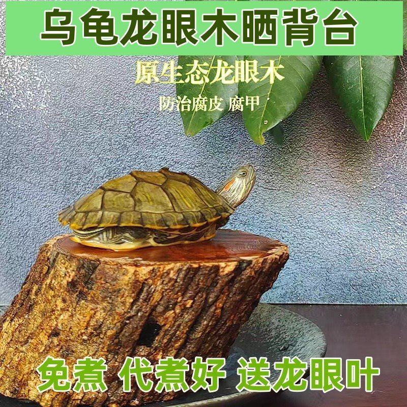 龍眼木放魚(yú)缸的功效和作用：龍眼木在魚(yú)缸中的作用和功效 魚(yú)缸百科 第4張