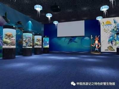 唐山水族館：廈門(mén)旅游必去的十大景點(diǎn) 全國(guó)觀賞魚(yú)市場(chǎng) 第2張