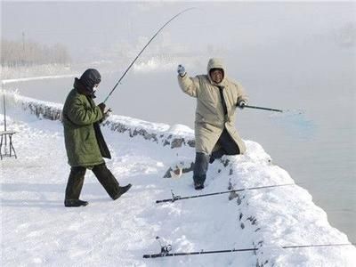 紅龍魚(yú)大鰭大尾怎樣養(yǎng)好：關(guān)于紅龍魚(yú)的飼養(yǎng)問(wèn)題 水族問(wèn)答 第2張