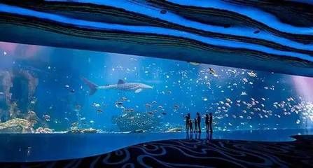 珠海水族館：世界上最大的水族館在中國嗎？