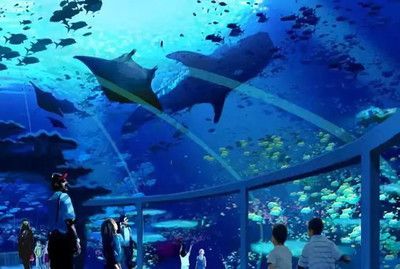 珠海水族館：世界上最大的水族館在中國嗎？ 全國觀賞魚市場 第2張