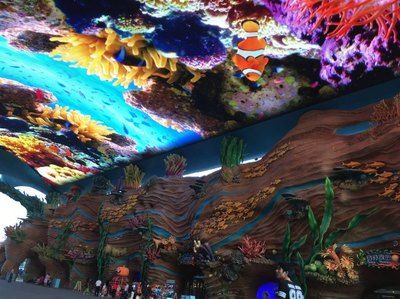 珠海水族館：世界上最大的水族館在中國嗎？ 全國觀賞魚市場 第3張