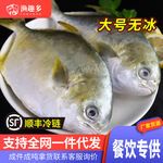 金昌觀賞魚批發(fā)市場 全國觀賞魚市場 第9張