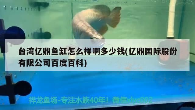 紅龍魚和金龍魚：紅龍魚和金龍魚在顏色上有什么共同點？ 水族問答