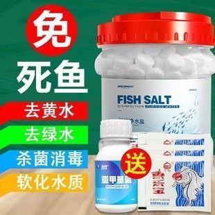 紅龍魚和金龍魚的特征：紅龍魚和金龍魚的區(qū)別 水族問答