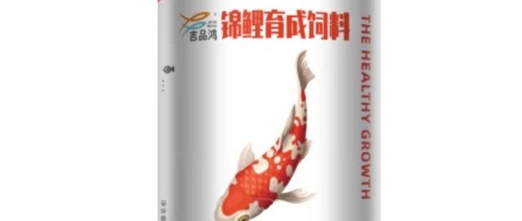 紅龍魚混養(yǎng)最佳搭配圖：紅龍魚與什么魚類混養(yǎng)能形成最佳的觀賞效果？ 水族問答