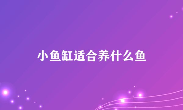 小魚缸還可以養(yǎng)什么：適合在小魚缸中養(yǎng)殖的幾種寵物 魚缸百科 第1張