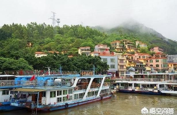 清遠(yuǎn)水族批發(fā)市場 全國觀賞魚市場 第7張