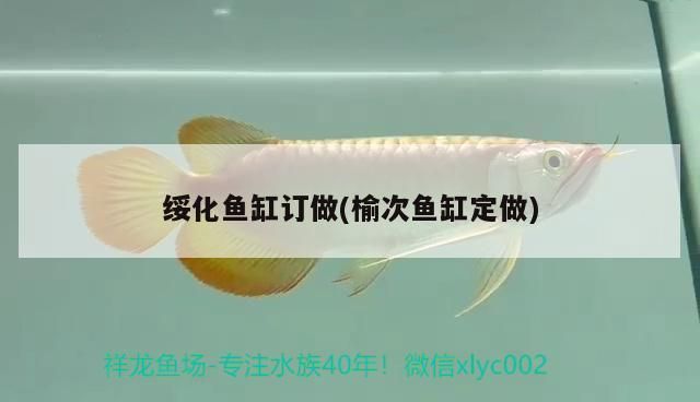 綏化魚缸批發(fā)市場：綏化市魚缸批發(fā)市場 全國觀賞魚市場 第7張