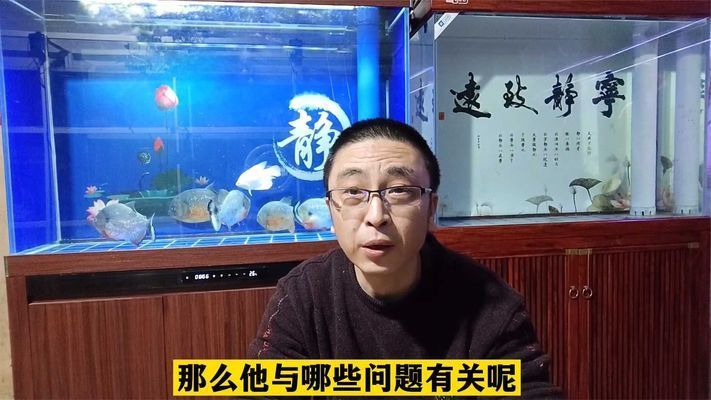 什么魚缸不會爆：亞克力魚缸選購注意事項亞克力魚缸清潔方法 魚缸百科 第2張