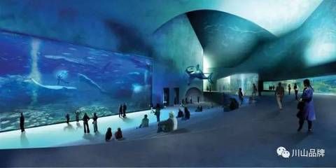 慶陽水族館：慶陽水族館位置 全國觀賞魚市場 第2張