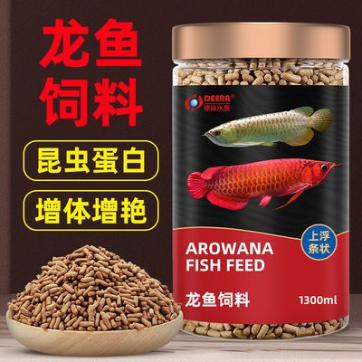 龍魚能吃多大的魚糧：龍魚的喂食量和魚糧大小會從哪些因素而變化 龍魚百科 第3張