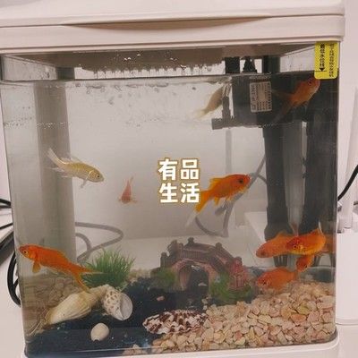 意牌魚缸質(zhì)量怎么樣：意牌魚缸與森森對(duì)比評(píng)測(cè)意牌魚缸熱銷款式推薦 魚缸百科 第5張