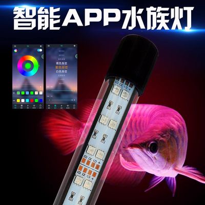 魚缸燈app：魚缸燈app是一款專為觀賞魚類打造的照明工具 魚缸百科 第3張