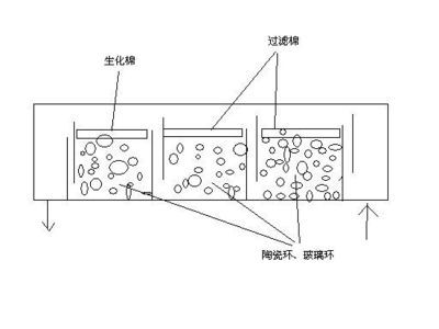 魚缸過濾器濾材的怎么擺放呀：魚缸過濾器濾材擺放方法 魚缸百科 第3張