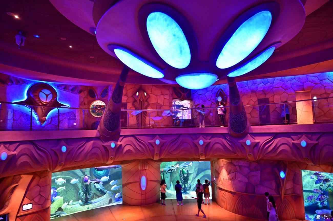 三亞水族館：三亞水族館位于中國海南省三亞灣大東海景區(qū)中心位置 全國觀賞魚市場 第2張