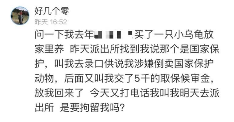 購買豬鼻龜怎么處罰：購買豬鼻龜判刑么 豬鼻龜百科 第1張