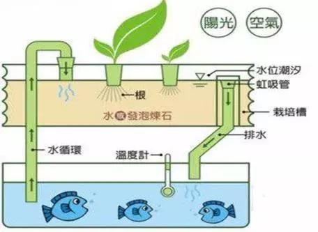 魚缸出水方式可以改變循環(huán)效果嗎為什么：魚缸出水方式對水循環(huán)效果有影響， 魚缸百科 第4張