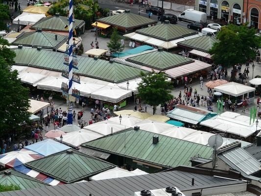 阿里觀賞魚批發(fā)市場：阿里水族批發(fā)市場 全國觀賞魚市場 第5張