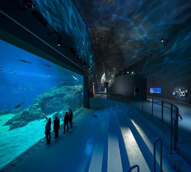 黑河水族館：黑河哪里有水族館