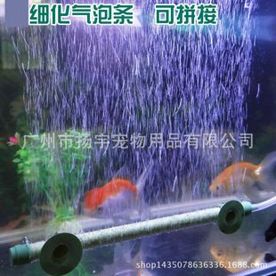 皮譜魚缸：森森h(huán)e480魚缸布置技巧，皮球魚疾病預(yù)防方法 魚缸百科 第4張