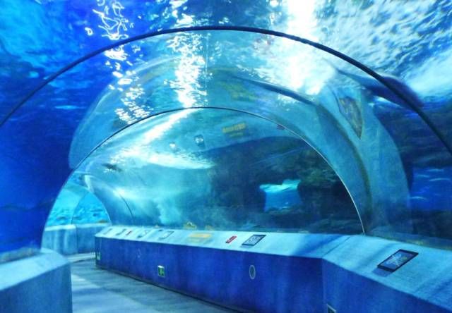 南京水族館：南京水族館在南京海底世界哪里詳細(xì)點(diǎn)南京水族館在哪 全國觀賞魚市場 第1張