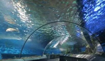 南京水族館：南京水族館在南京海底世界哪里詳細(xì)點(diǎn)南京水族館在哪 全國觀賞魚市場 第3張