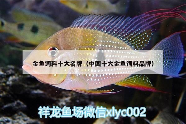 如何挑選過背金龍魚飼料品牌呢：過背金龍魚專用飼料推薦 金龍魚百科 第5張