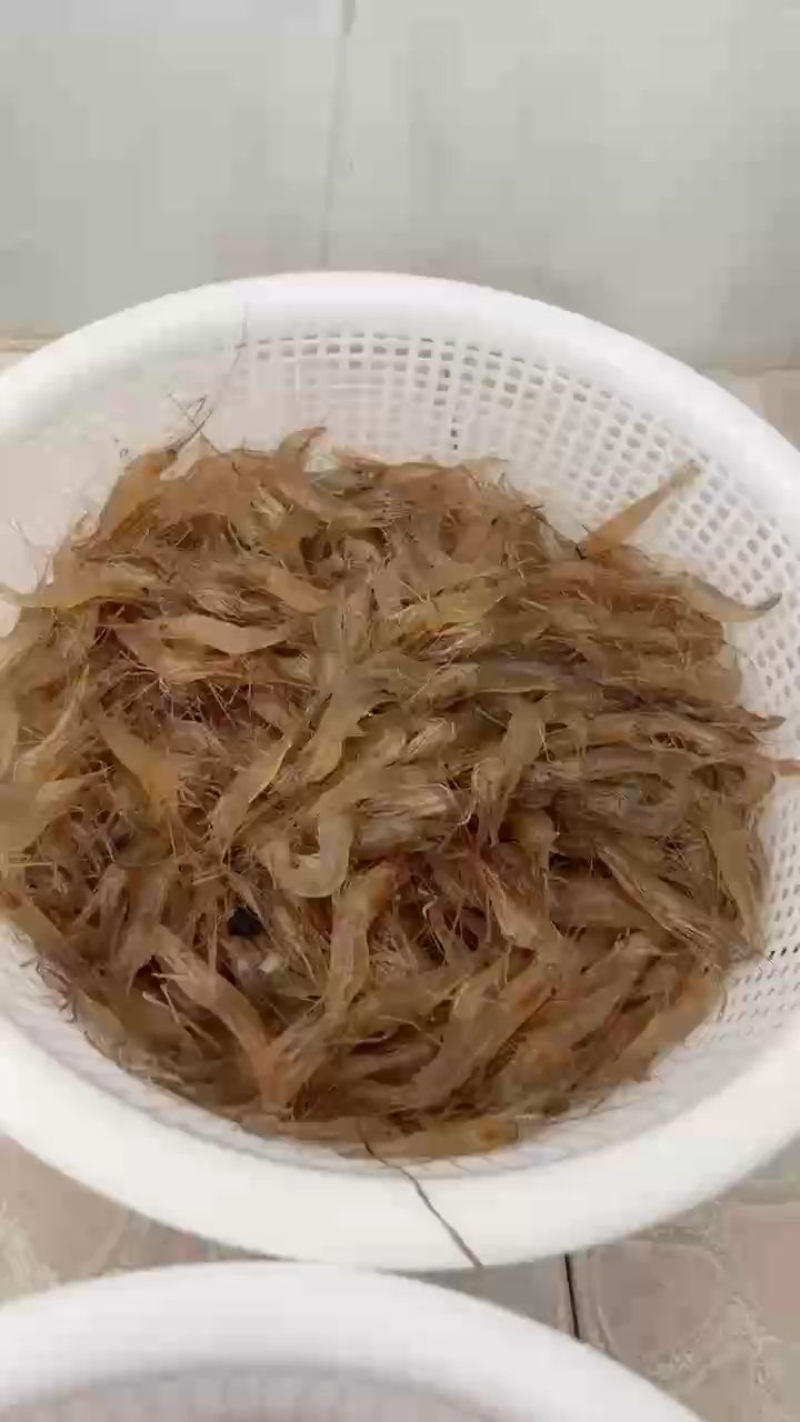 新鮮魚食：speechless飛評(píng)論：新鮮魚食的選擇和使用技巧 觀賞魚論壇