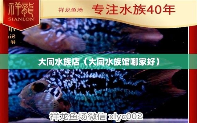 大同水族館：世界上最大的水族館 全國觀賞魚市場 第4張