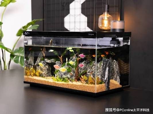 沁魚缸評測：沁魚缸是一款由沁品牌推出的小型魚缸，適用于辦公室使用 魚缸百科 第2張