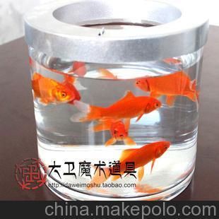 魚缸出魚魔術(shù)教學(xué)視頻：魚缸出魚魔術(shù)教學(xué)視頻欣賞魚缸魔術(shù)效果視頻欣賞 魚缸百科 第5張