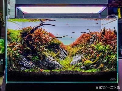 龍魚之家魚缸計算器：龍魚之家魚缸玻璃計算器 魚缸百科 第1張