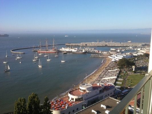 三門峽水族批發(fā)市場：三門峽水族批發(fā)市場和水族批發(fā)市場配置詳細(xì)信息 全國觀賞魚市場 第4張