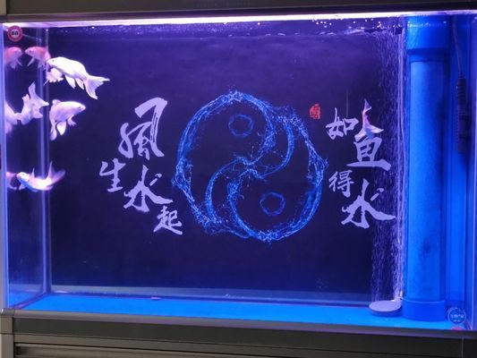 商洛龍魚(yú)專賣(mài)店：商洛水族批發(fā)市場(chǎng) 全國(guó)觀賞魚(yú)市場(chǎng) 第1張