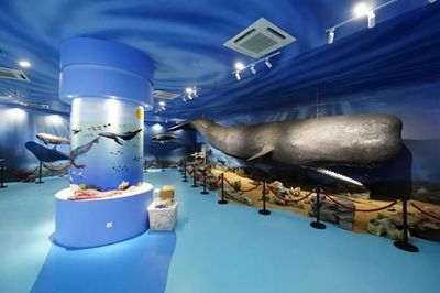 惠州水族館：廣州星河商務(wù)酒店 全國觀賞魚市場 第1張