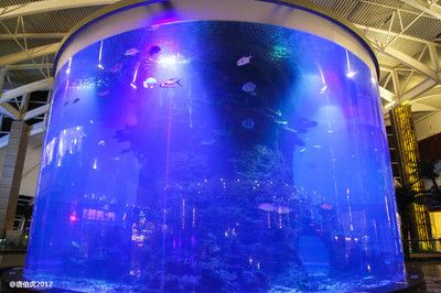 惠州水族館：廣州星河商務(wù)酒店 全國觀賞魚市場 第2張