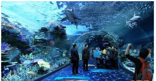 成都水族館：成都十大水上樂園 全國(guó)觀賞魚市場(chǎng) 第2張