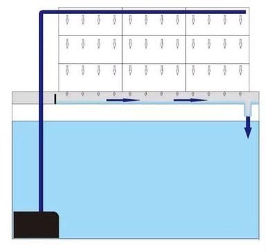 魚缸過濾盒工作原理：魚缸過濾盒工作原理詳解 魚缸百科 第1張