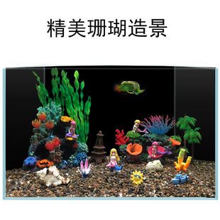 珊瑚魚缸價格表：珊瑚魚缸價格一般多少 魚缸百科 第2張