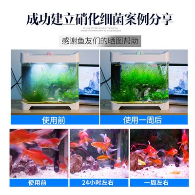 魚缸里海豚咬魚怎么辦：海豚咬魚怎么辦 魚缸百科 第1張