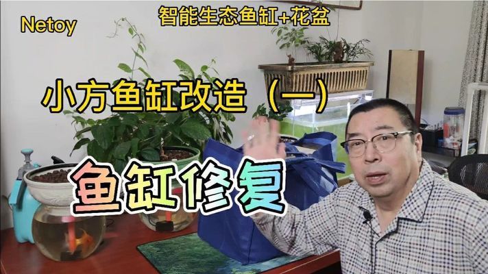 魚缸改小視頻：水桶改魚缸的密封技巧，水桶改魚缸密封技巧詳解 魚缸百科 第4張